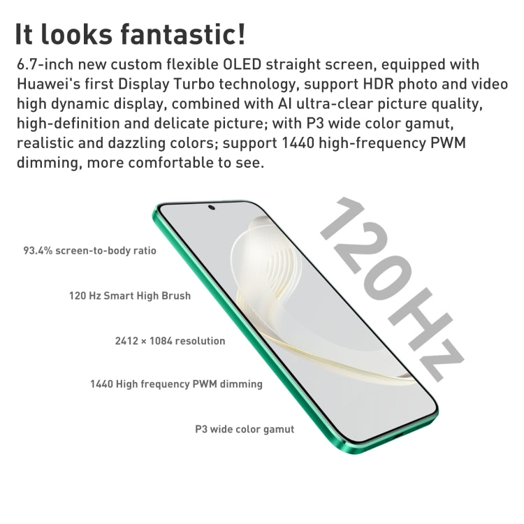 HUAWEI nova 11 FOA-AL00, 60MP Front Camera, 256GB, China Version