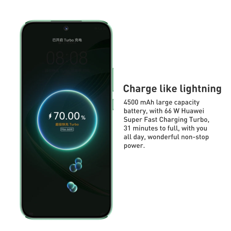 HUAWEI nova 11 FOA-AL00, 60MP Front Camera, 512GB, China Version